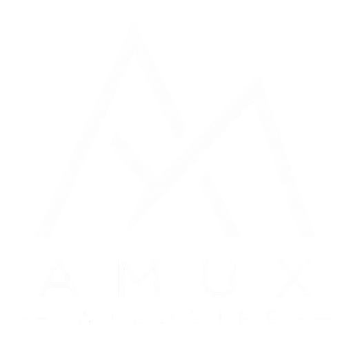 Logo Amux Wildlife