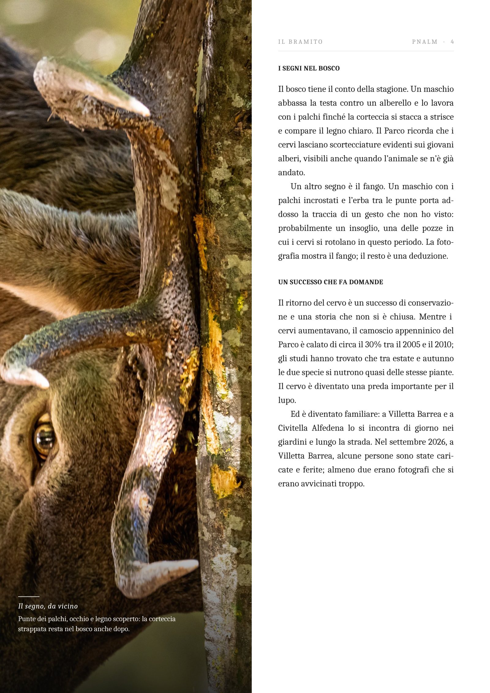 Pagina 4
