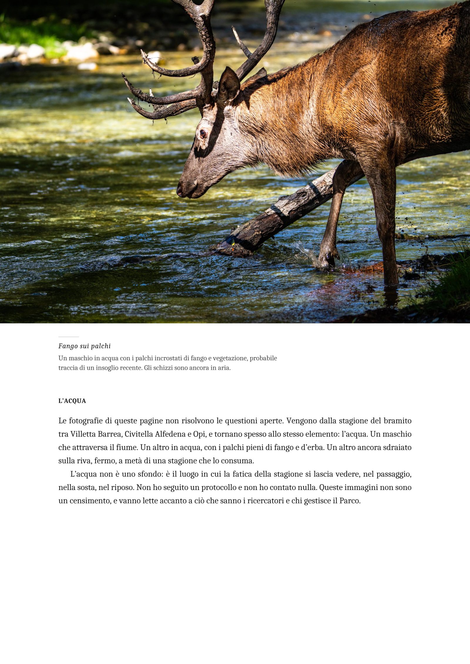 Pagina 5