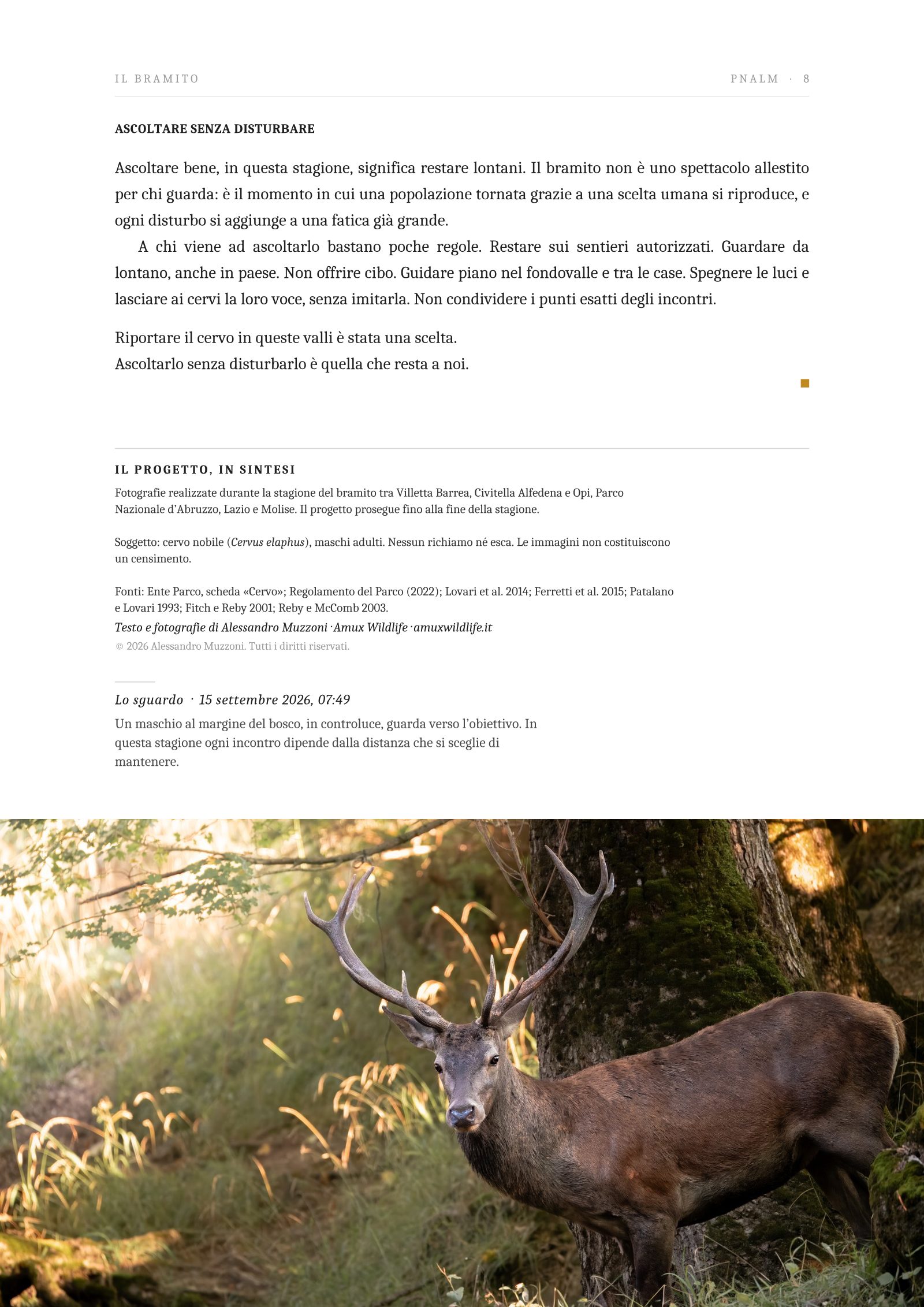Pagina 8